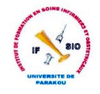 Logo IFSIO