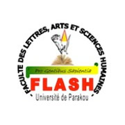 Logo FLASH